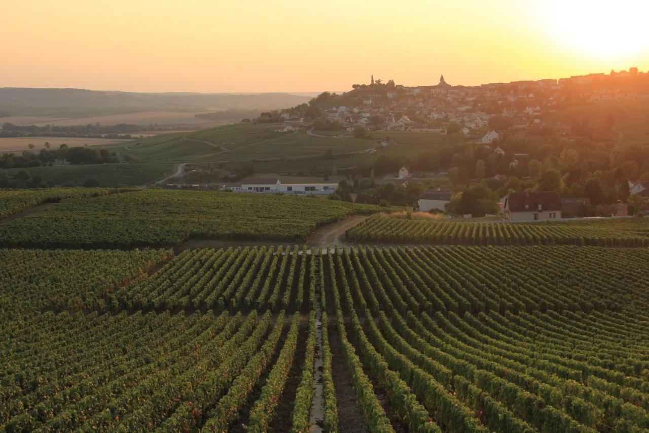 Lodge De La Vigneronne Châtillon-sur-Marne Exteriör bild