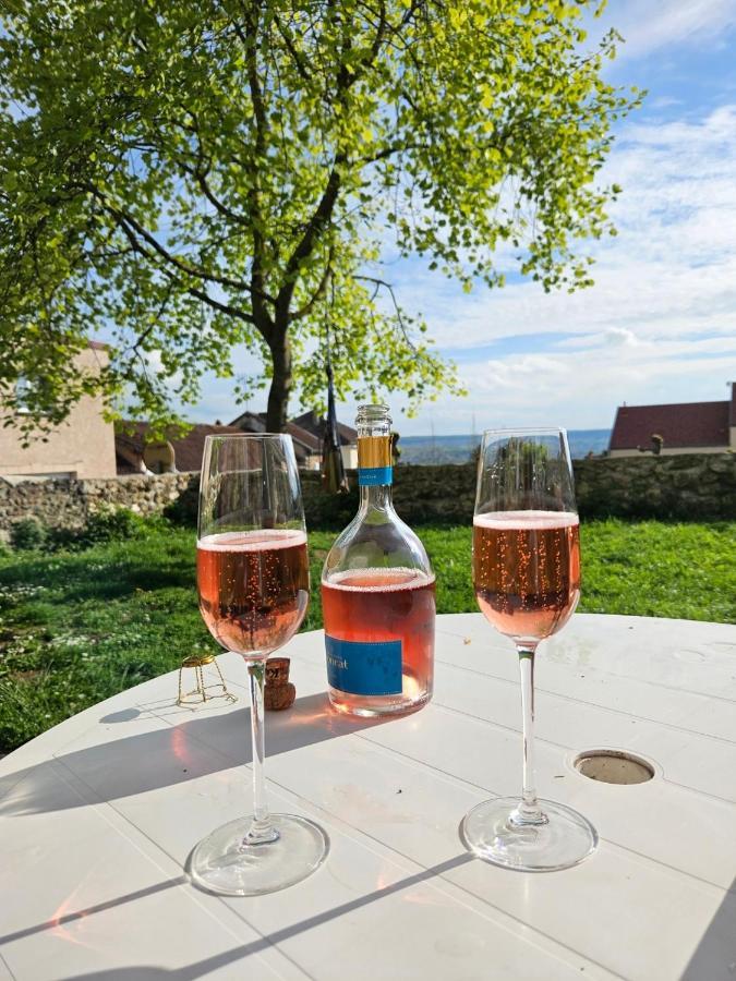 Lodge De La Vigneronne Châtillon-sur-Marne Exteriör bild